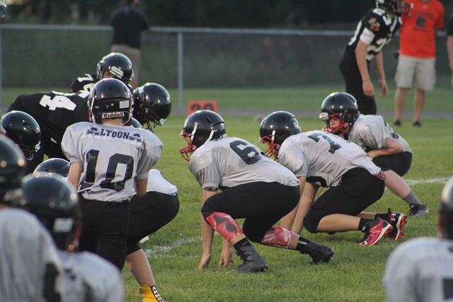 头衔归属的 头衔归属的