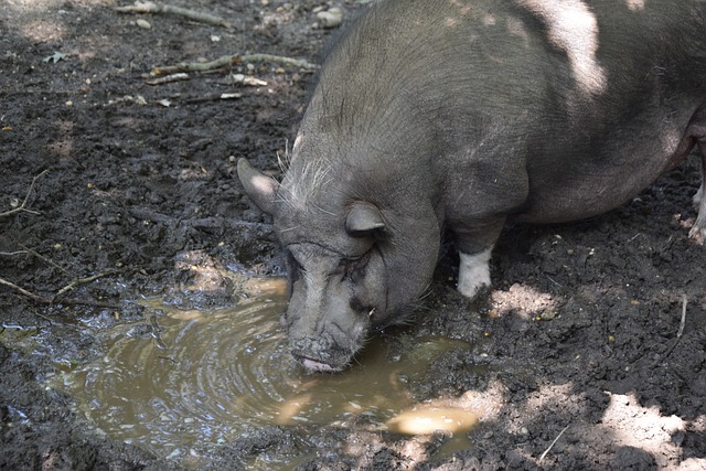 量与智慧的 量与智慧的