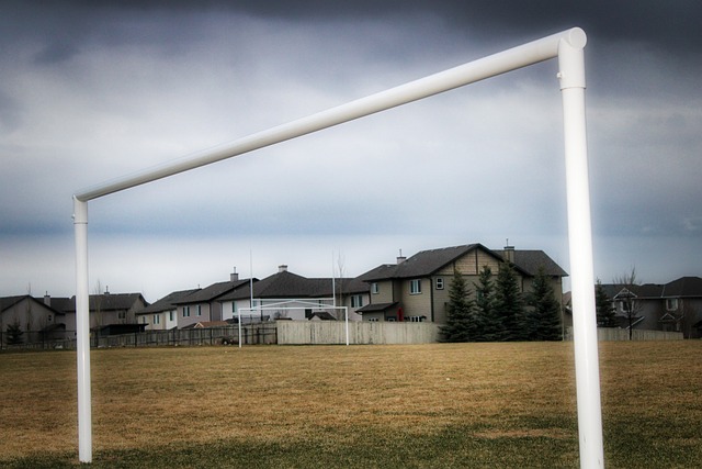 为德国足球 为德国足球