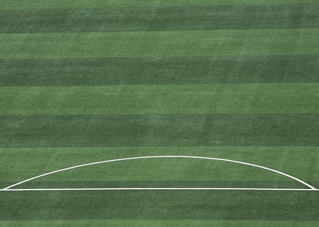 寻求和平解 寻求和平解