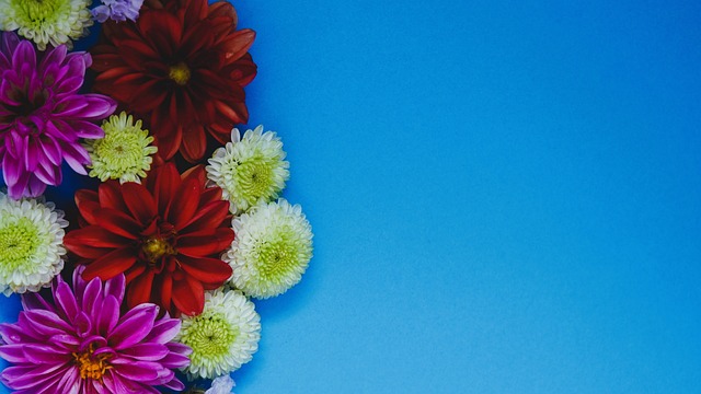 羽毛球大使 羽毛球大使