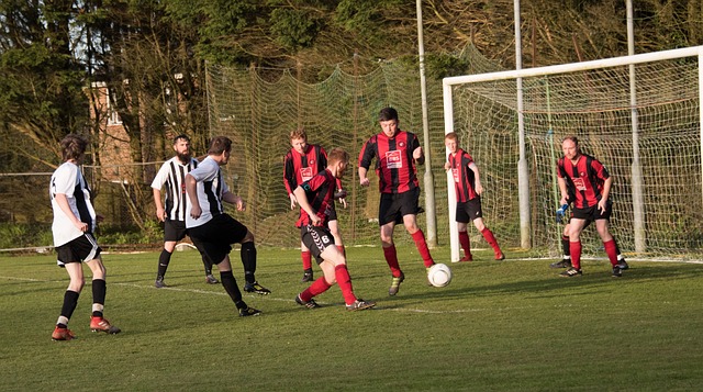 日本队可以 日本队可以