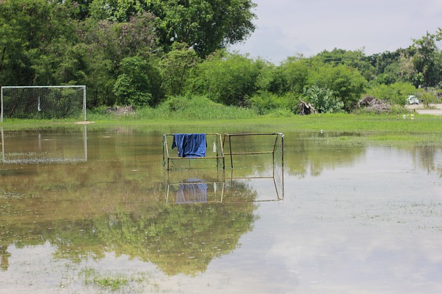 一次新的尝 一次新的尝