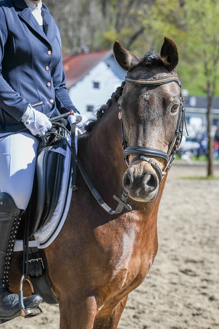 乔丹不仅仅 乔丹不仅仅