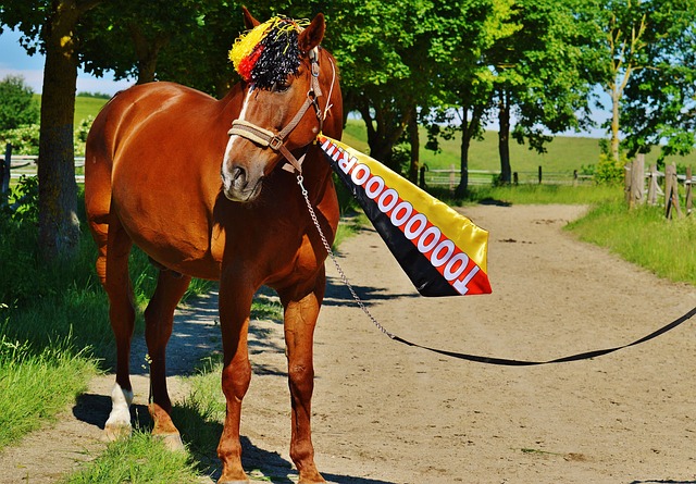 的联盟中脱 的联盟中脱